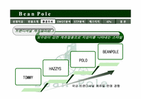 [경영학] 빈폴 마케팅전략-9