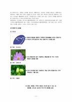 [지역사회복지론] 은평구 지역사회복지-5