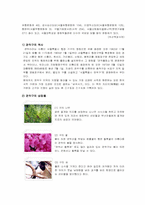 관악구의 사회화, 사회통합의 기능-4