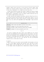 [사회문제] 정보격차의 현황, 문제점 및 해결책-5