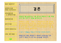 패권전이이론 레포트-17
