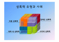 성폭력 그 사례와 대책-8