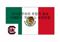 신자유주의의 부정적 효과와 사례분석 -치아빠스 농민운동-1