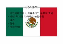 신자유주의의 부정적 효과와 사례분석 -치아빠스 농민운동-2