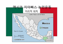 신자유주의의 부정적 효과와 사례분석 -치아빠스 농민운동-7