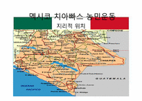 신자유주의의 부정적 효과와 사례분석 -치아빠스 농민운동-8