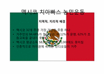 신자유주의의 부정적 효과와 사례분석 -치아빠스 농민운동-9