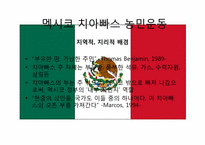 신자유주의의 부정적 효과와 사례분석 -치아빠스 농민운동-10