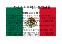 신자유주의의 부정적 효과와 사례분석 -치아빠스 농민운동-11