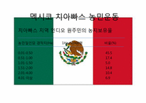 신자유주의의 부정적 효과와 사례분석 -치아빠스 농민운동-12