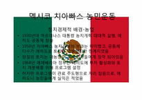 신자유주의의 부정적 효과와 사례분석 -치아빠스 농민운동-13
