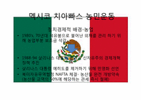 신자유주의의 부정적 효과와 사례분석 -치아빠스 농민운동-14