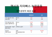 신자유주의의 부정적 효과와 사례분석 -치아빠스 농민운동-15