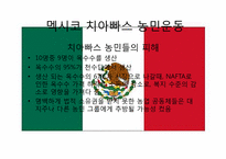 신자유주의의 부정적 효과와 사례분석 -치아빠스 농민운동-16