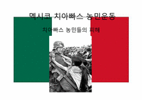 신자유주의의 부정적 효과와 사례분석 -치아빠스 농민운동-17