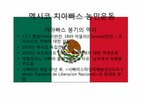 신자유주의의 부정적 효과와 사례분석 -치아빠스 농민운동-18