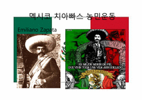 신자유주의의 부정적 효과와 사례분석 -치아빠스 농민운동-19
