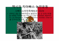 신자유주의의 부정적 효과와 사례분석 -치아빠스 농민운동-20