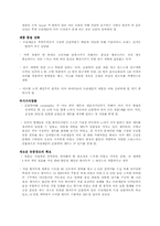 브랜드자산 구축 성공사례-7