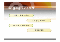 Loyalty Program(로열티 프로그램)-10