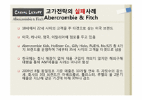 [마케팅] 가격침투전략과 고가전략의 성공과 실패사례-17