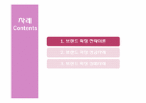 브랜드 확장전략과 성공 및 실패사례-3