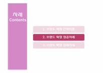 브랜드 확장전략과 성공 및 실패사례-12