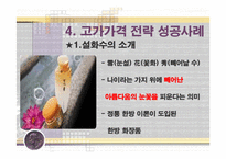 침투가격과 고가가격 성공사례 및 실패사례-16