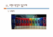 브랜드 확장의 성공, 실패 사례-5
