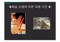 [환경] 낙동강 페놀 유출사고와 우리나라 상수원 관리 현황-8