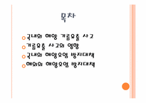 [환경] 국내외 해양 기름유출 사고의 영향과 각국의 해양오염 방지대책-2