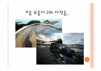 [환경] 국내외 해양 기름유출 사고의 영향과 각국의 해양오염 방지대책-8