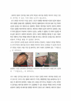 [커뮤니케이션학] 패러디 문화를 통해서 본 쌍방향커뮤니케이션-4