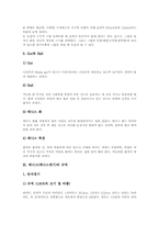 [테니스][테니스경기][테니스선수]테니스(테니스경기)의 역사와 테니스(테니스경기)의 용구 및 테니스(테니스경기)의 규칙 그리고 테니스(테니스경기)의 기본과 테니스(테니스경기)의 에티켓 심층 분석-6