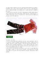 [경영전략] 베네통(BENETTON)의 광고전략과 사례-11