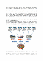 [경영정보] 세븐일레븐 코리아의 시스템 분석-6