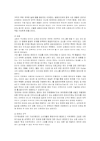 [경영전략] 금호타이어의 전략 분석-11