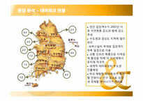 [마케팅] 삼성 에버랜드의 서비스 마케팅 분석-8