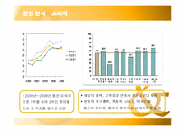 [마케팅] 삼성 에버랜드의 서비스 마케팅 분석-11