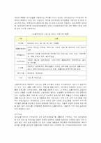[마케팅] 노블카운티의 마케팅 전략과 새로운 방안-10