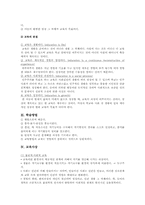 존 듀이 교육사상 분석-3
