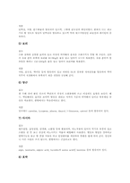 [식생활][식습관][채식][선식][생식]식생활의 의의, 식습관에 영향을 주는 요소, 채식(채식의 종류, 채식의 특징, 채식과 영양결핍), 선식(선식의 정의, 선식의 특징, 선식의 사례, 선식의 효과), 생식(생식의 개념, 생식의 특징, 생식의 효과) 분석-8
