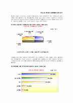 우리나라 휴대폰 사용현황에 관한 연구-14