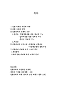 전환사채 레포트-2