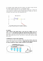 [금융상품] KIKO(키코)-3
