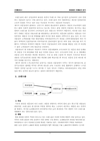 [유통관리] 화장품의 유통경로분석-8