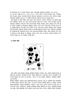[유통관리] 석유 유통과정 분석-7
