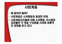 [관광심리학] 관광 소비자 행동의 환경적 요인 2-6