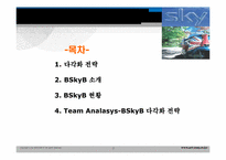BSkyB 다각화전략-2