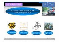 BSkyB 다각화전략-3